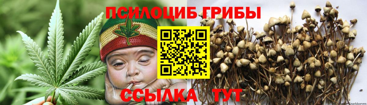 Галлюциногенные грибы Magic Shrooms Клин