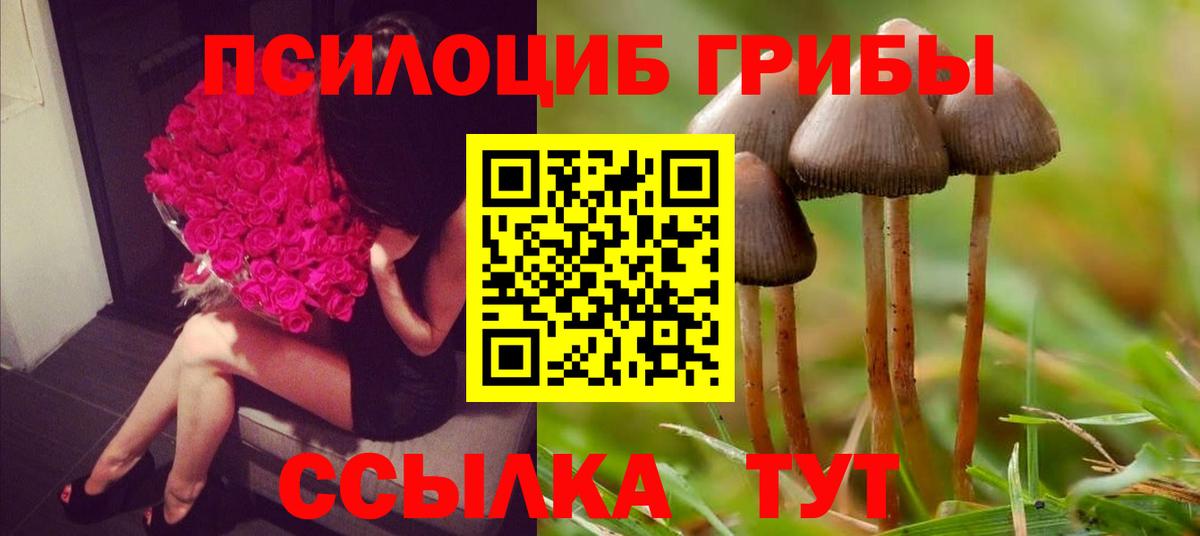 Клин  Псилоцибиновые грибы мухоморы  Вход с VPN  Псилоцибиновые грибы прущие грибы 