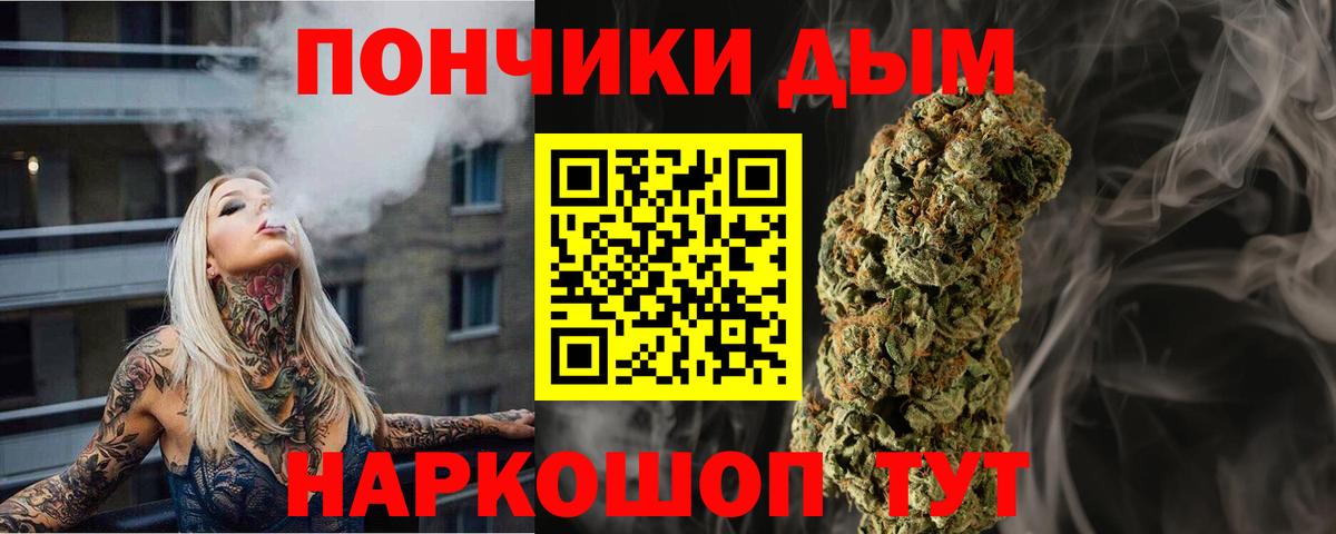 Бошки Шишки конопля Клин